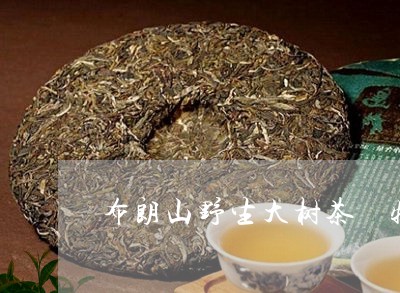 布朗山野生大树茶 特级品班章/2023052937471